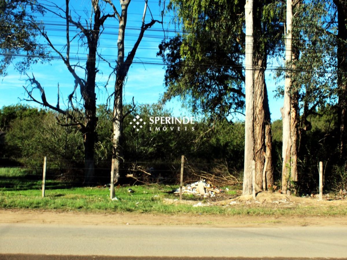 Terreno para alugar com 2.500m² no bairro Ponta Grossa em Porto Alegre - Foto 1