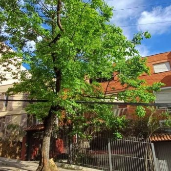 Cobertura à venda com 253m², 3 quartos, 3 suítes, 2 vagas no bairro Rio Branco em Porto Alegre