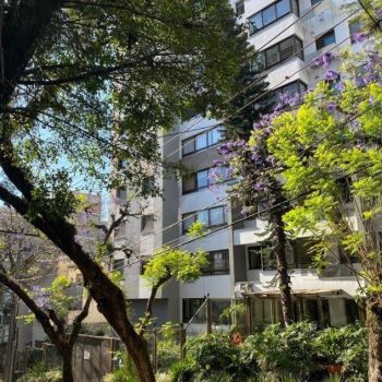 Apartamento à venda com 59m², 2 quartos, 1 suíte, 2 vagas no bairro Rio Branco em Porto Alegre