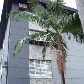 Apartamento à venda com 77m², 3 quartos, 1 vaga no bairro Menino Deus em Porto Alegre