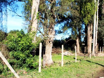 Terreno para alugar com 2.500m² no bairro Ponta Grossa em Porto Alegre - Foto 7