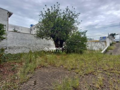 Terreno para alugar com 428m² no bairro Chácara das Pedras em Porto Alegre - Foto 5