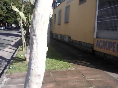 Casa à venda com 300m², 3 quartos, 2 vagas no bairro Partenon em Porto Alegre - Foto 2