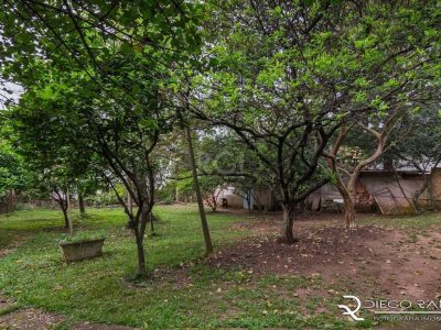 Casa à venda com 1.820m², 3 quartos, 1 suíte, 12 vagas no bairro Menino Deus em Porto Alegre - Foto 25