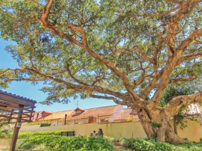 Apartamento à venda com 90m², 3 quartos, 1 suíte, 1 vaga no bairro Ipanema em Porto Alegre - Foto 23