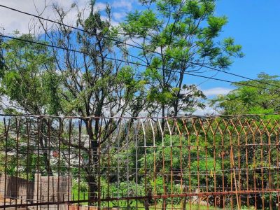 Casa à venda com 200m², 5 quartos, 1 suíte, 4 vagas no bairro Santa Tereza em Porto Alegre - Foto 32