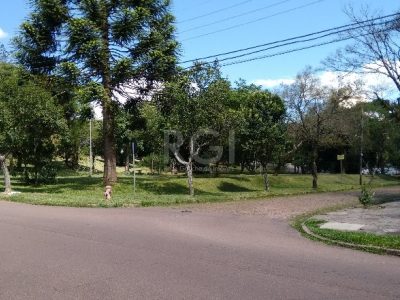 Casa à venda com 250m², 3 quartos, 1 vaga no bairro Vila Ipiranga em Porto Alegre - Foto 11