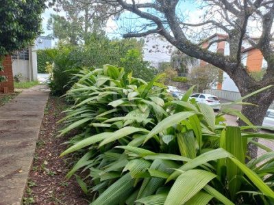 Casa à venda com 250m² no bairro Chácara das Pedras em Porto Alegre - Foto 7