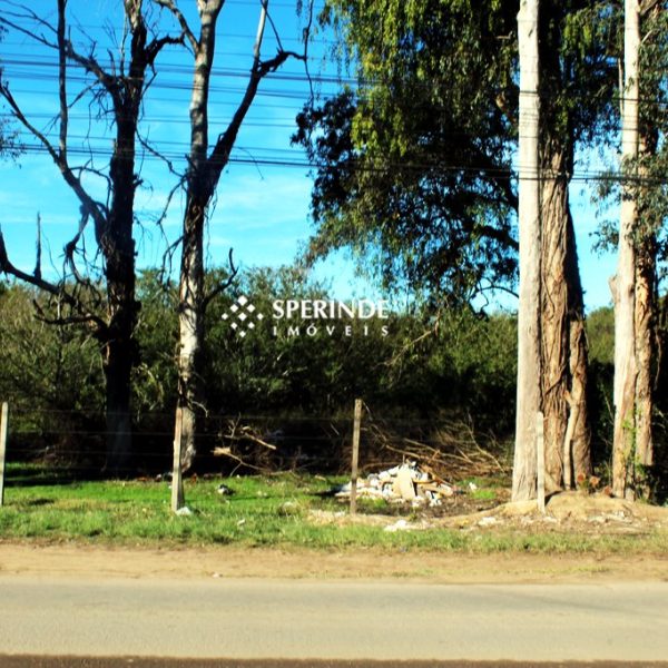 Terreno para alugar com 2.500m² no bairro Ponta Grossa em Porto Alegre - Foto 1